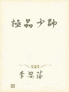 极品少帅