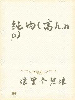 纯肉(高h.np)