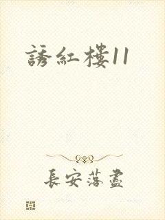诱红楼11封面