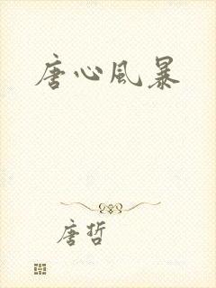 唐心风暴