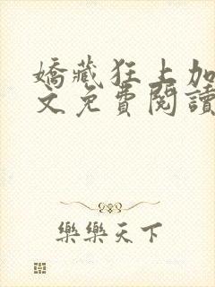 娇藏狂上加狂全文免费阅读笔趣阁