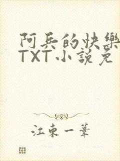 阿兵的快乐生活TXT小说免费阅读全章