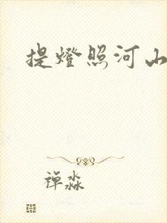 提灯照河山封面