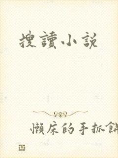 搜读小说