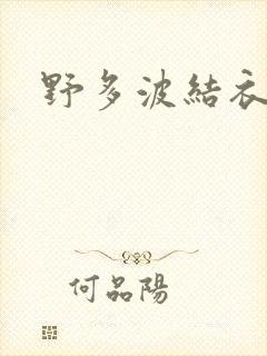 野多波结衣