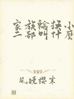 家族轮换小说第二部叫什么名字