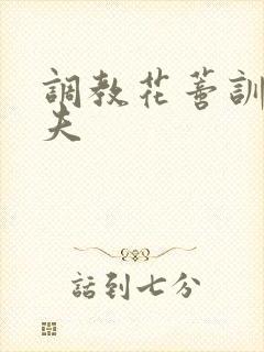 调教花蒂训诫从夫