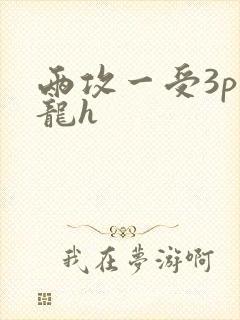 两攻一受3p双龙h