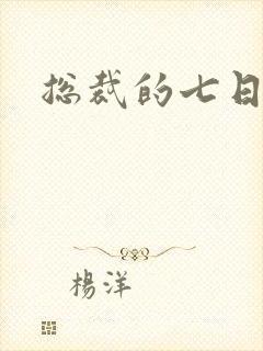总裁的七日恋人