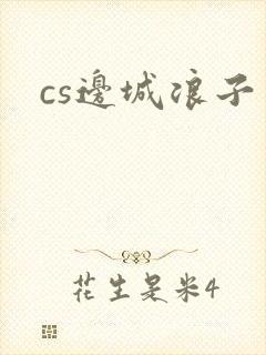cs边城浪子