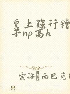 皇上强行糟蹋太子np高h