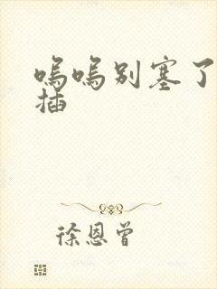 呜呜别塞了啊抽插封面