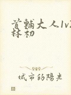 首辅大人1v2林初