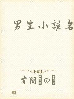 男生小说名字