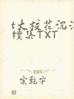 t大校花沉浮录续集TXT