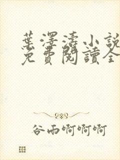 叶泽涛小说全文免费阅读全文封面