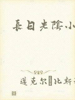 长日光阴小说封面