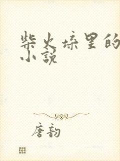 柴火垛里的疯狂小说封面