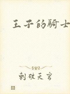 王子的骑士封面