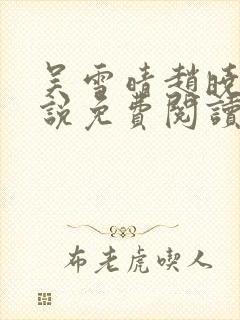 吴雪晴赵晓东小说免费阅读