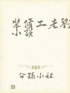 装修工老刘林雪小说