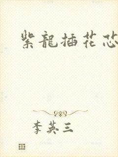 紫龙插花芯方正