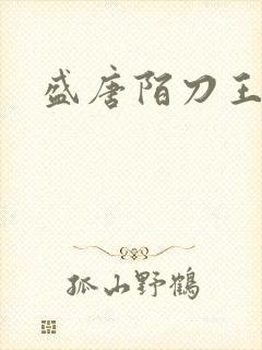 盛唐陌刀王封面