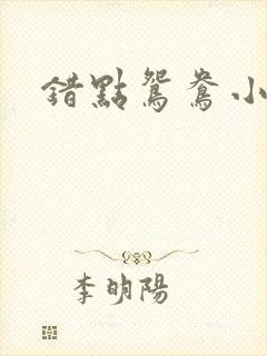 错点鸳鸯小说