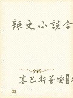 辣文小说合集封面