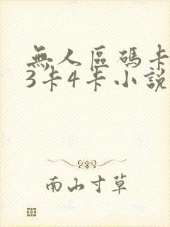 无人区码卡二卡3卡4卡小说