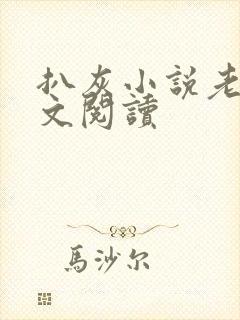 扒灰小说老马全文阅读