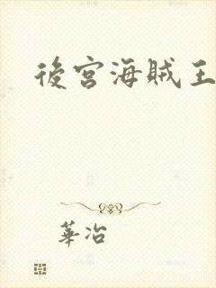 后宫海贼王