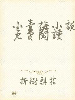 小青梅小说全文免费阅读