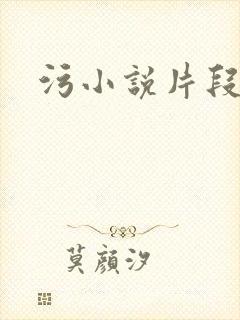 污小说片段封面