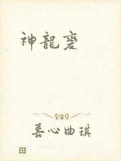 神龙变封面