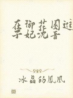 在御花园进入太子妃沈音封面