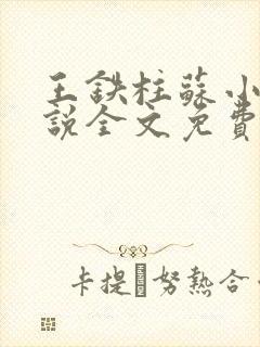 王铁柱苏小汐小说全文免费阅读最新章节