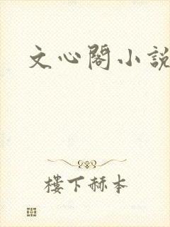 文心阁小说