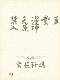 禁天漫堂直接进入原神