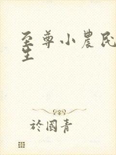 至尊小农民王木生