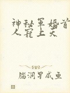 神秘军婚首长大人宠上天