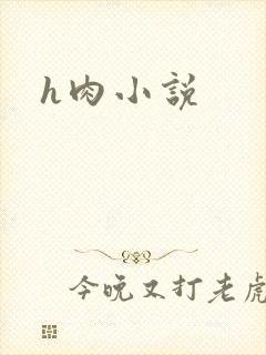 h肉小说