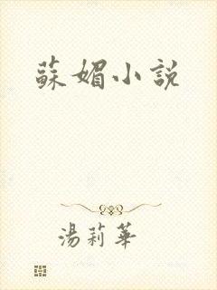 苏媚小说