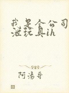 我是全公司的发泄玩具ih