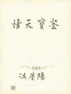 情天宝鉴封面