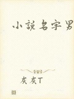 小说名字男生