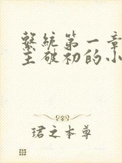 系统第一章给宿主破初的小说
