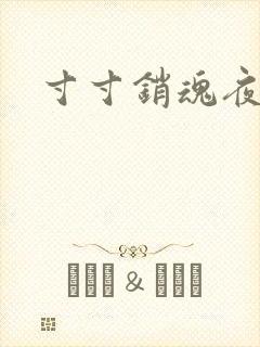 寸寸销魂夜春光