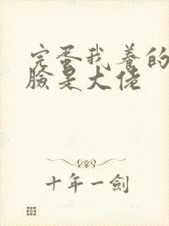 完蛋我养的小白脸是大佬