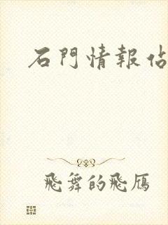 石门情报站